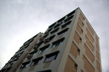 Blk 201 Petir Road (Bukit Panjang), HDB 5 Rooms #225672